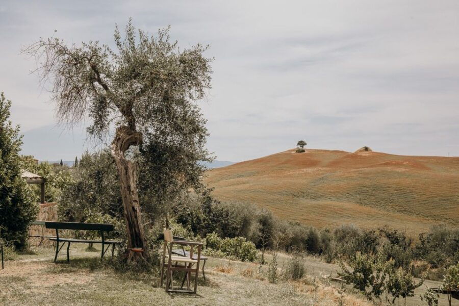 From Rome: Tuscan Medieval Towns & Winery Tour With Lunch - Experience Highlights