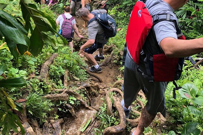 From San Juan: El Yunque Rainforest Hiking Adventure - Challenging but Exciting Adventure