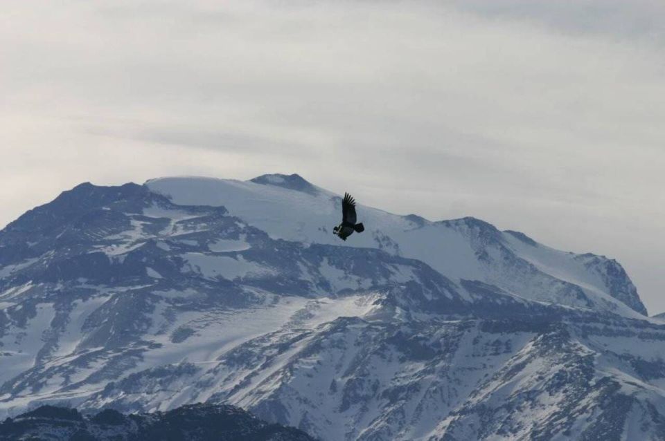 From Santiago: Mount Altos Del Naranjo Half-Day Hike - Good To Know