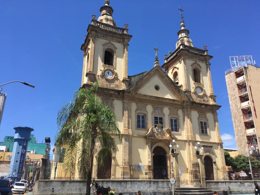 From São Paulo: Aparecida Cathedral Tour - Accessibility and Group Size