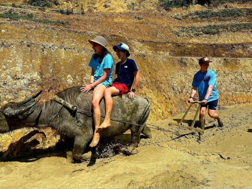 From Sapa : Sapa 1-Day Trekking Lao Chai & Ta Van Villages - Activity Details