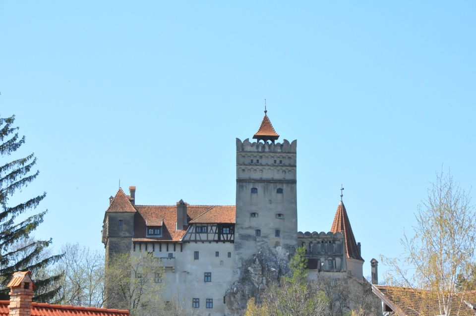 From Sibiu: Day Tour to Brasov and Dracula's Castle - Tour Details