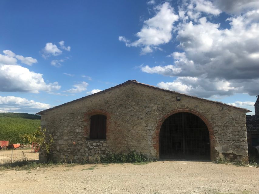 From Siena: Chianti Farm Cooking Class