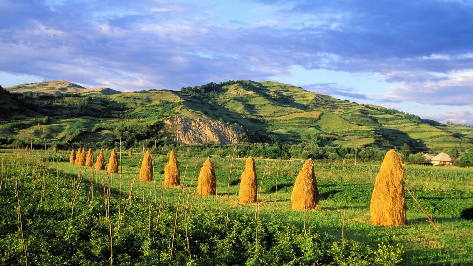 From Sighetu Marmatiei: Maramures and Barsana Monastery Tour - Tour Highlights