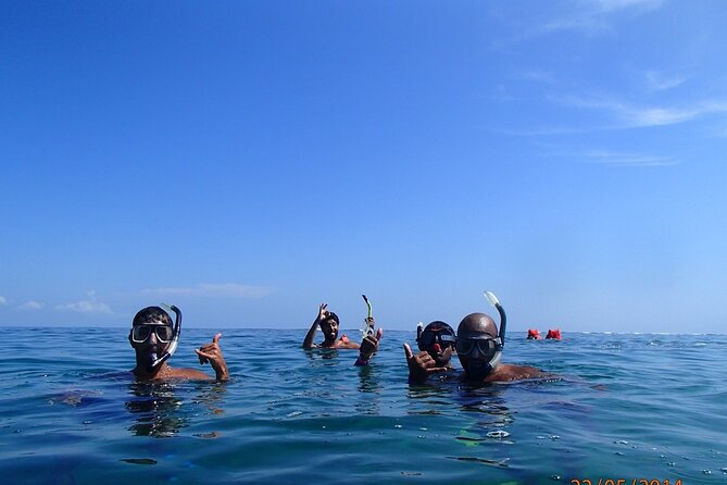 Full Day Cahuita Snorkel and Sloth Sanctuary From Puerto Viejo De Limón - Tour Itinerary