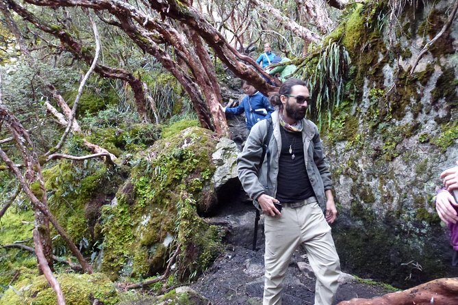 Full-Day Cajas N. Park and Cuenca CityTour