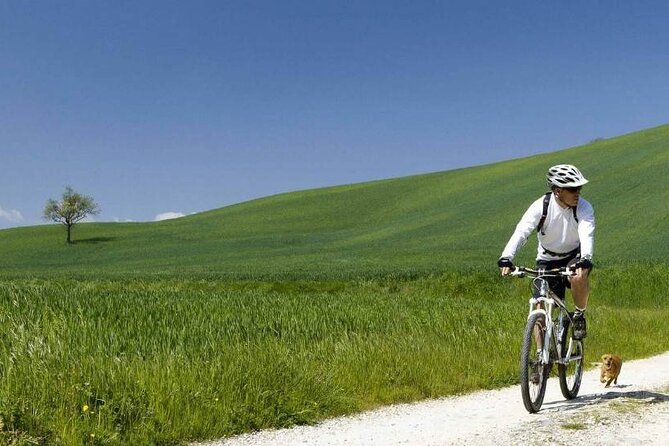 Full-Day Chianti E- Bike Tour - Pricing and Booking Information