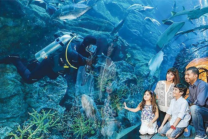 Full Day Dubai City Tour With Burj Khalifa & Underwater Zoo Ticket - Burj Khalifa Experience