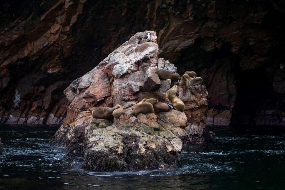 Full Day Paracas Ica and Huacachina From Lima All Included - Itinerary Overview