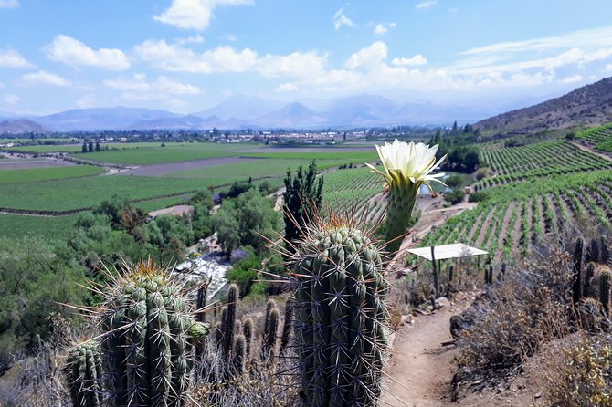 Full-day Private Santiago Surrounds Tour - Good To Know