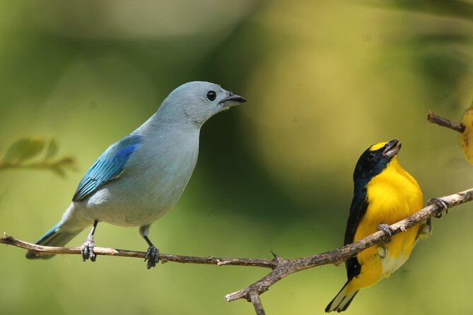 Full Day Private Tour in Santa Elena, Monteverde - Location & End Point