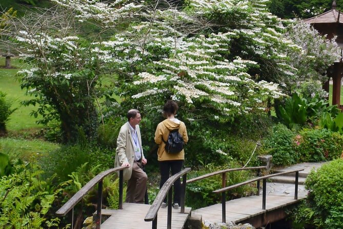 Full Day Private Wicklow Tour - Additional Reviews