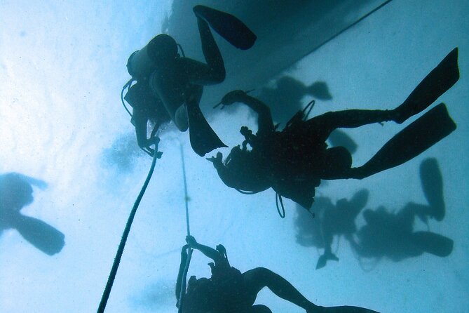 Full Day Scuba Diving in Rosario Islands - Explore Marine Life Diversity