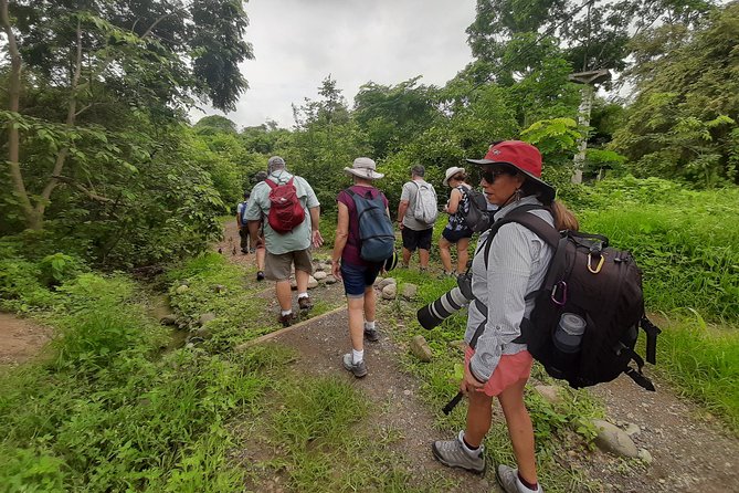 Full Day to Ecological Reserve Churute Mangrove - Activities and Wildlife Spotting