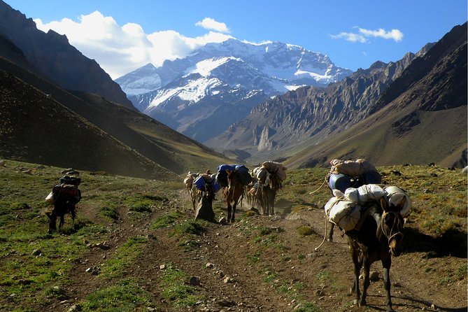 Geodesic Dome Trek to Aconcagua's South Face - Overview of Aconcaguas South Face Trek