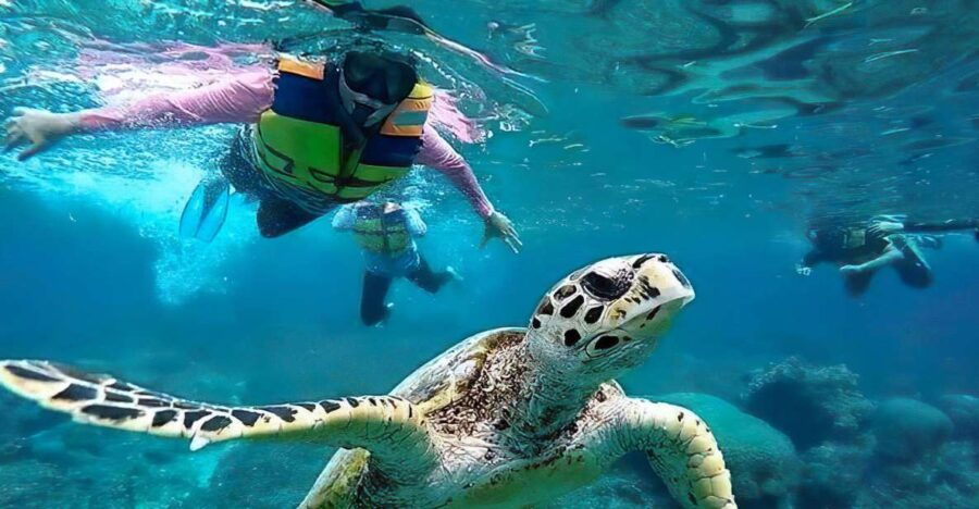 Gili Islands Snorkeling Adventure