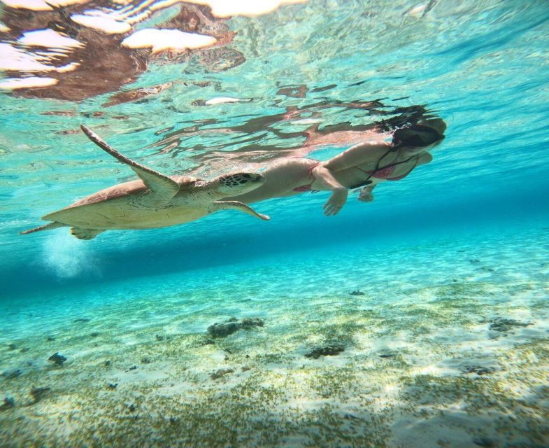 Gili Trawangan: Group Snorkelling Boat Trip Around Gilis - Experience Highlights