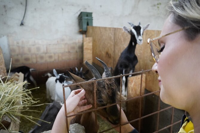 Goat Cheese Tour and Tasting at the Anghiari Farmhouse - Farmhouse Location