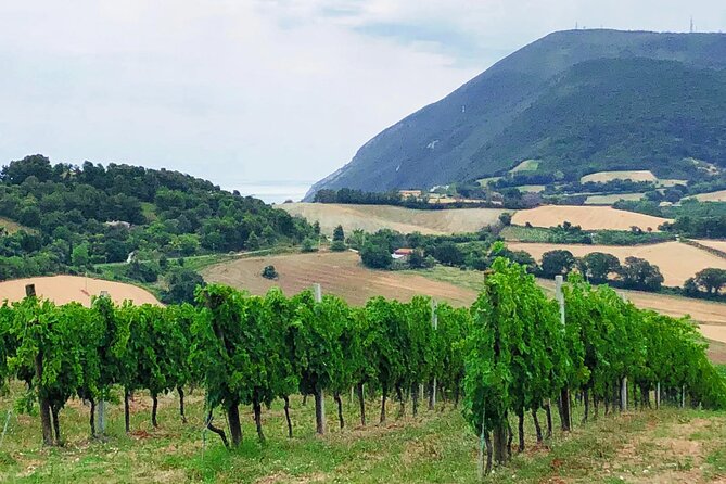 Guided E-Bike Tour With Food and Wine Tasting - Tour Highlights