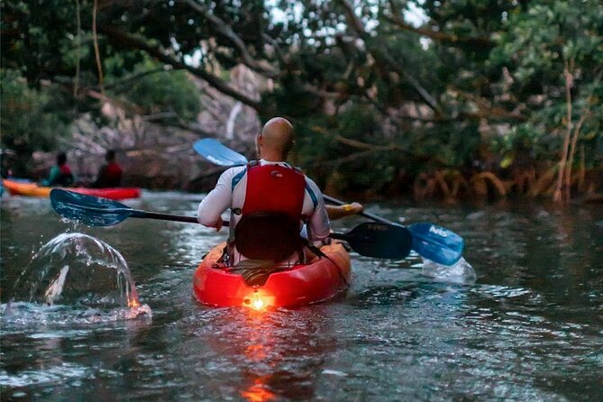 Guided El Yunque Rainforest & Bio Bay Tour: Full-Day With Transportation - Expectations and Cancellation Policy
