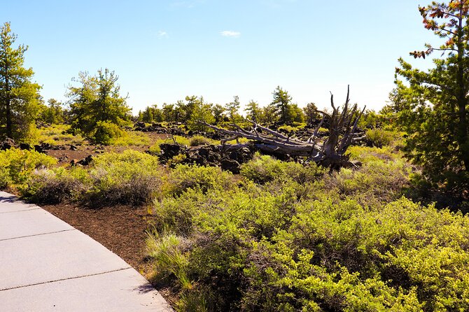 Guided Full-Day Tour to Craters of the Moon National Monument & Preserve - Reviews and Ratings