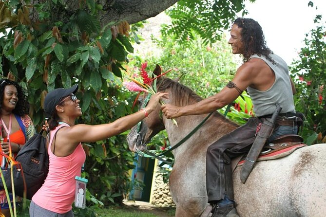 Guided Safari Tour in Punta Cana - Tour Highlights
