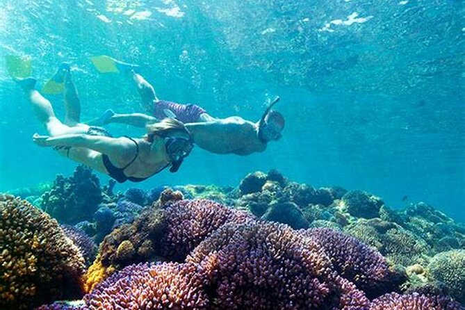 Guided Snorkeling & Shipwreck Experience in Santa Maria - Cancellation Policy and Refund Details
