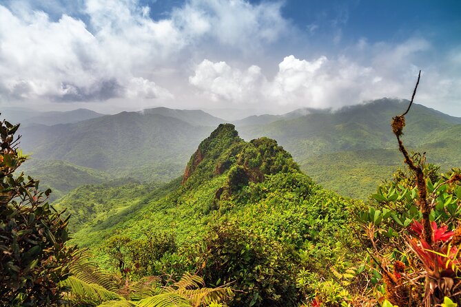 Half Day Adventure Private Tour in El Yunque Rainforest - Tour Highlights