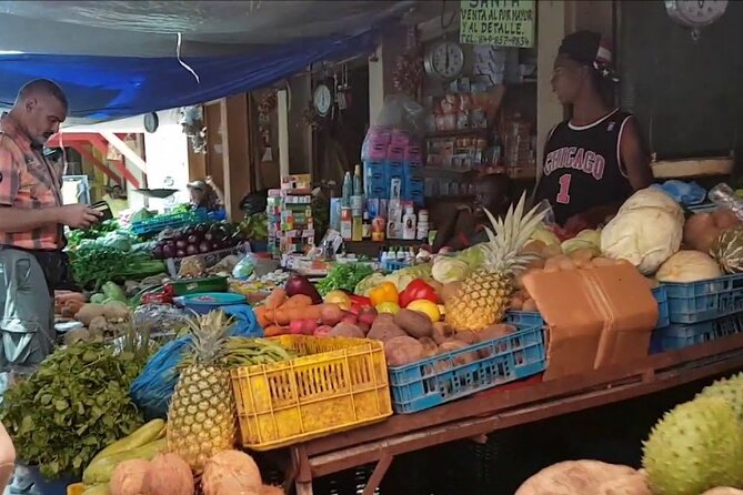 Half-Day Cultural Safari Tour From Cap Cana - Tour Inclusions