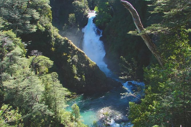 Half-Day Excursion Unveils Nature's Hidden Gems - Itinerary Highlights