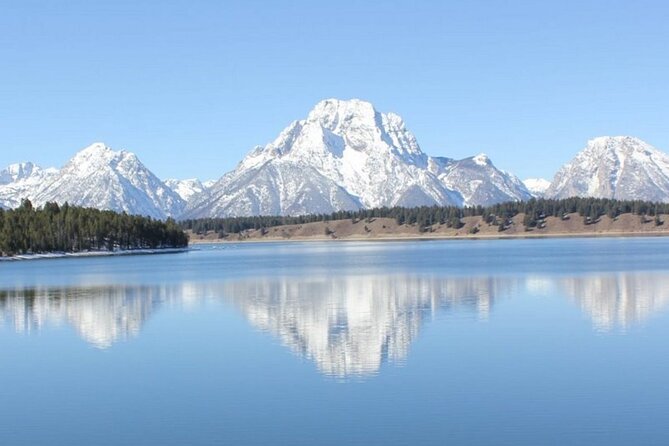 Half Day Private Winter Wildlife Tours in Jackson Hole - Tour Details