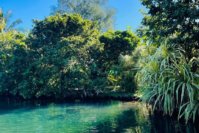 Half Day Tahiti Peninsula and Teahupoo Boat Tour (Shared Boat) - Shared Boat Experience