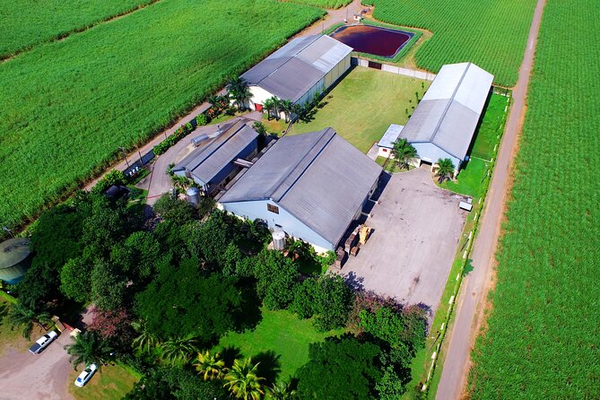 Half Day Tour in Worthy Park Rum Estate - Booking Information