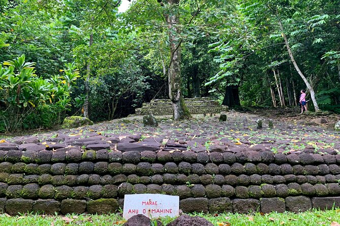 Half-Day Tour of Moorea Island in a Small Group - Traveler Photos