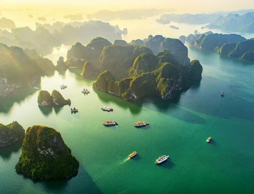 Halong: 1 Day Luxury Cruise, Caves, Kayaking, Buffet Lunch - Activity Highlights