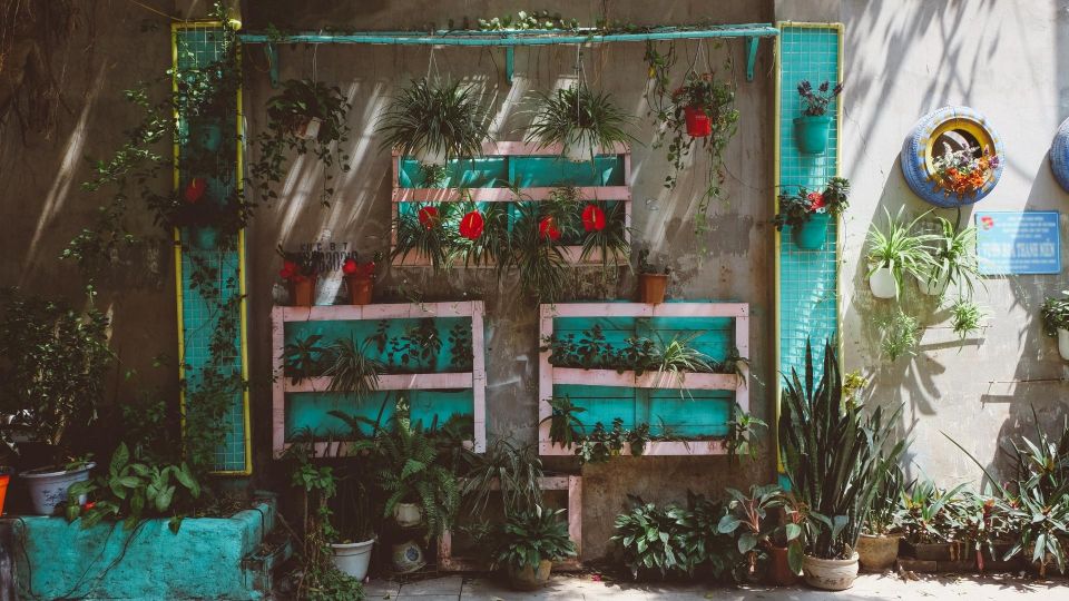 Hanoi Old Quarter: 36 Streets Walking Tour - Street Exploration