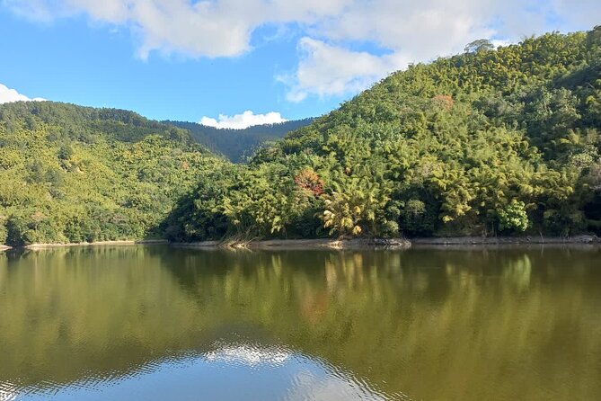 Healing Guided Nature Experience and Waterfall Brunch in Jamaica - Indulge in a Waterfall Brunch