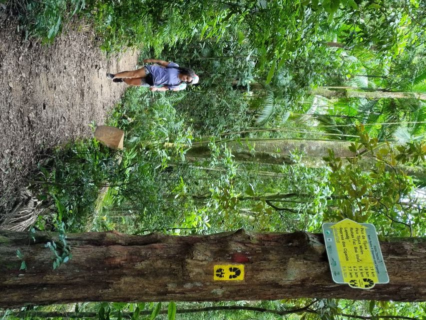 Hiking to Tijuca Peak - The Highest Summit in Tijuca Forest - Activity Details