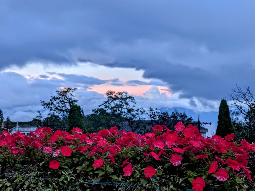 Hoi An: Ba Na Hills & Golden Bridge Small-Group Tour - Tour Details