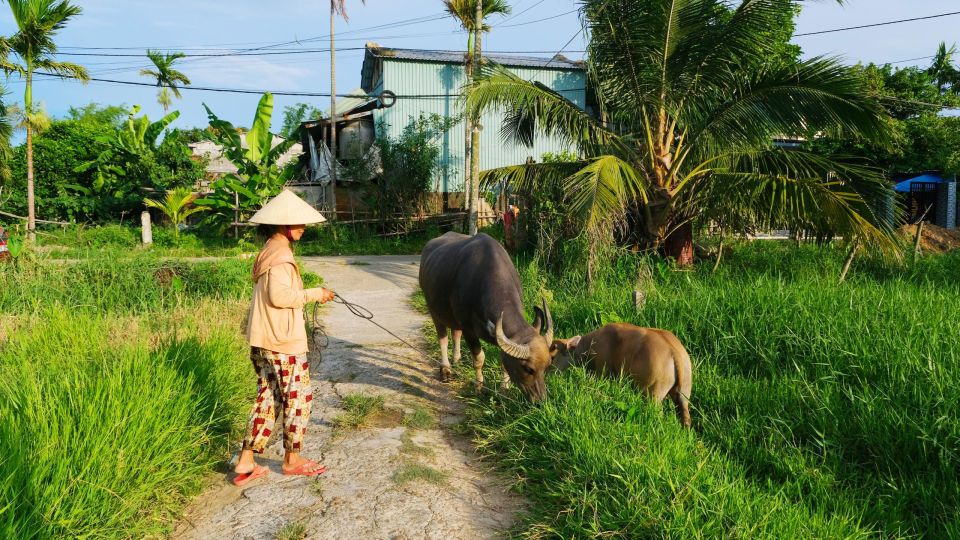 Hoi An Lantern Making & Countryside Vespa Tour - Inclusions and Logistics