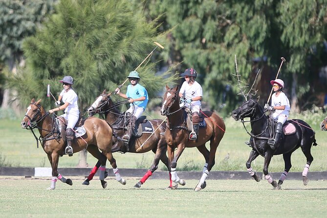 Horseback Riding, Polo, and BBQ in Buenos Aires - Exploring the Argentine Countryside