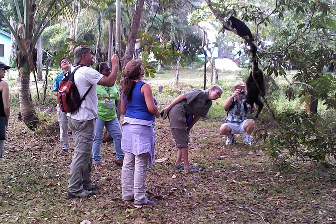 Howler Monkey Sanctuary Tour From Belize City - Tour Highlights