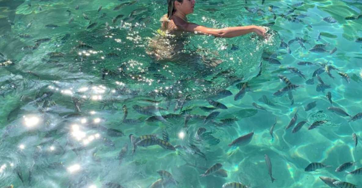 Ilha Grande: Swim With the Little Fish in the Blue and Green Lagoons. - Activity Details