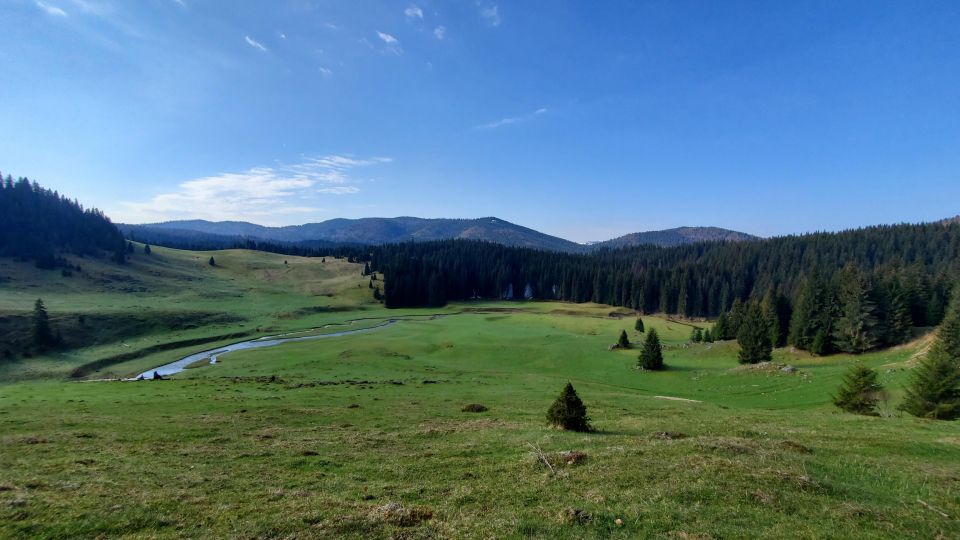 Immersive Hike, Padis - Inclusions