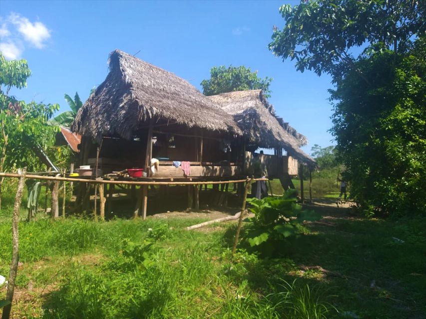 Iquitos: Jungle Tour on Boat, Itaya River - Tour Highlights