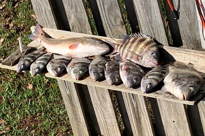 Jacksonville Fishing Charter-23 - Pricing and Booking Process