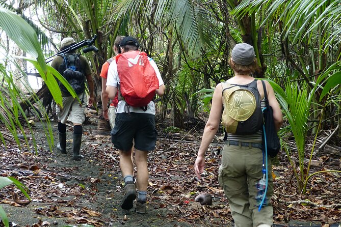 Jungle Adventure: Overnight Stay in Corcovado - Meeting and Logistics