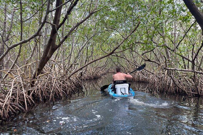 Kayak Adventure at Shell Key Preserve in Tierra Verde - Good To Know