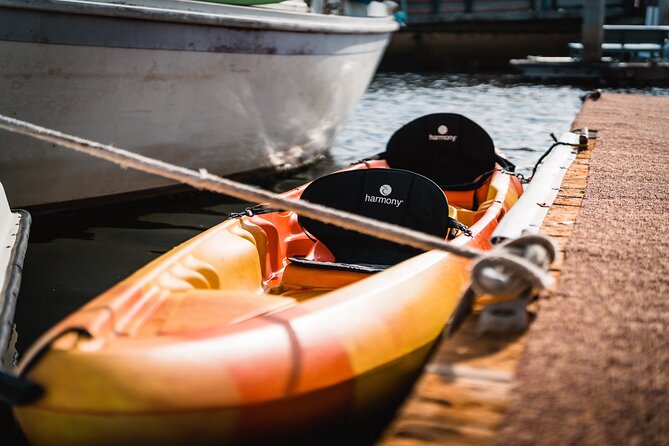 3 Best Canoe And Kayak Experiences In Redondo Beach