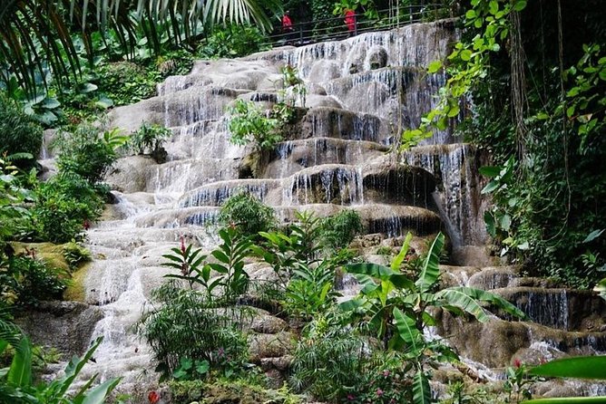 Konoko Falls and Garden Tour From Falmouth - Tour Highlights